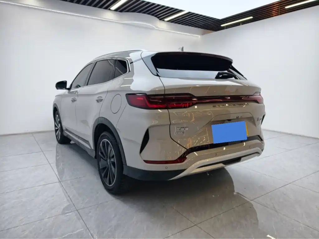 BYD PLUS New Energy — фото 7