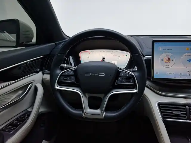 BYD PLUS New Energy — фото 10