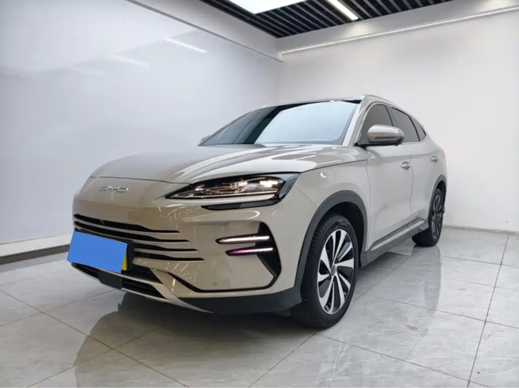 BYD PLUS New Energy