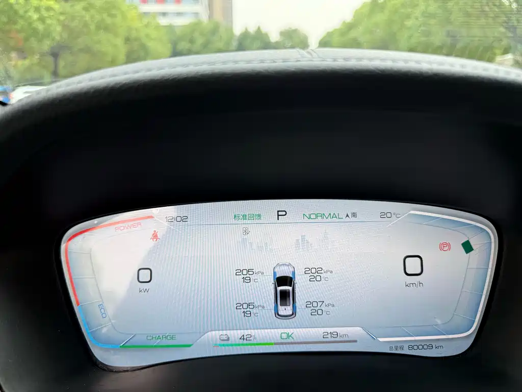 BYD PLUS New Energy — фото 11