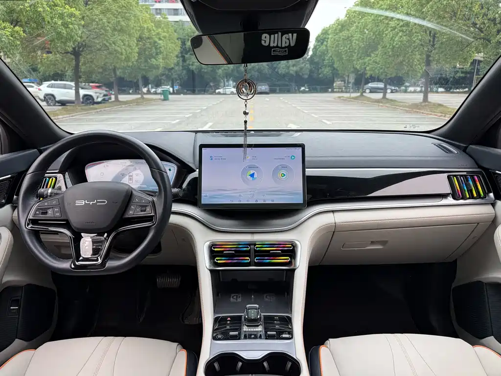 BYD PLUS New Energy — фото 4