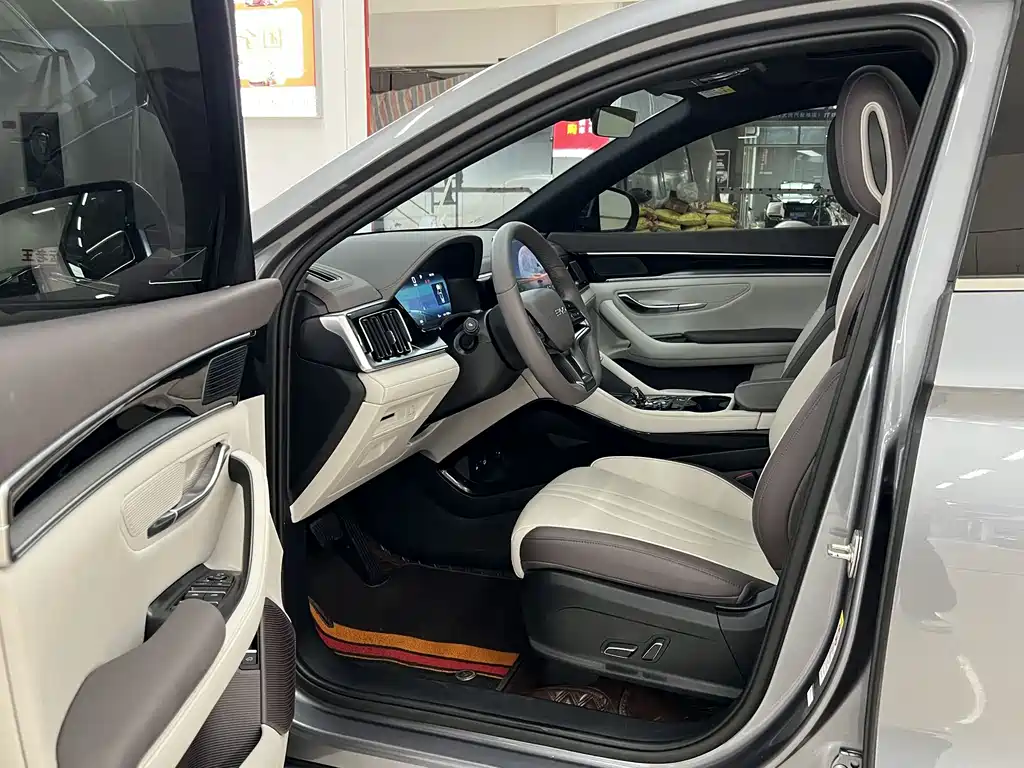 BYD PLUS New Energy — фото 4