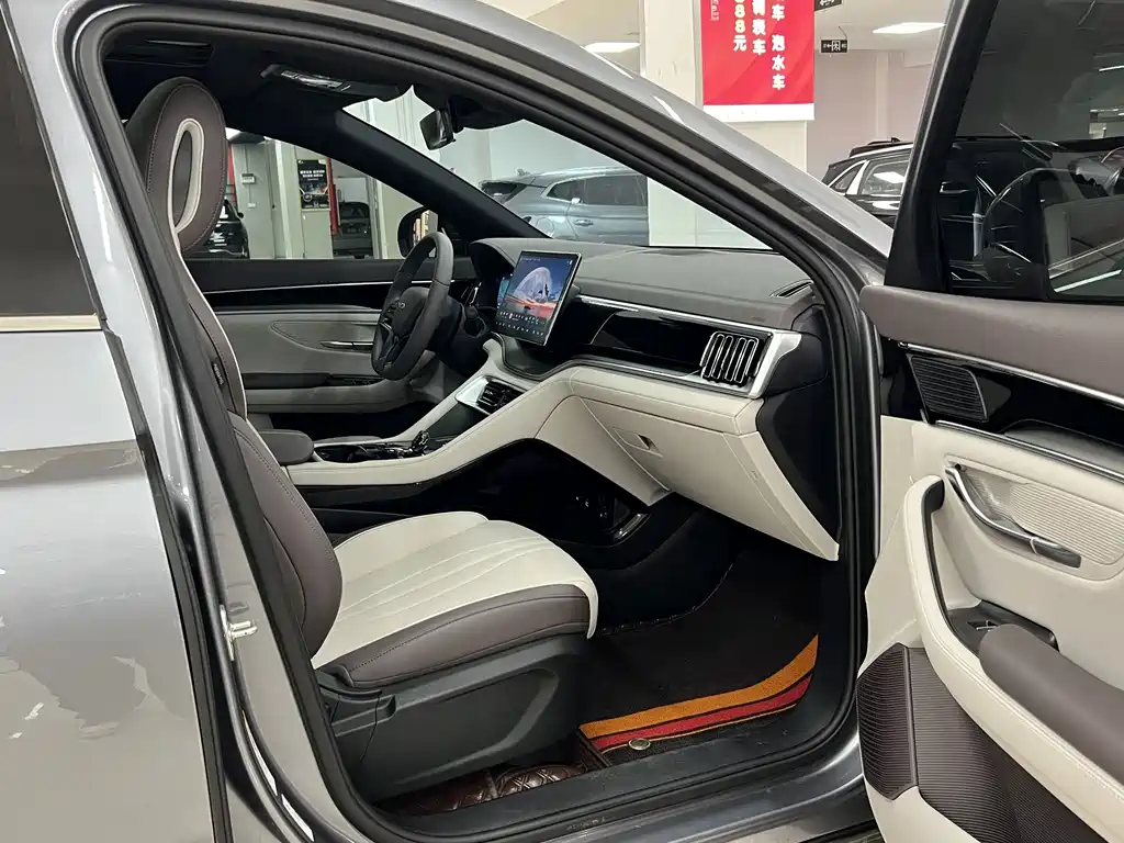 BYD PLUS New Energy — фото 9