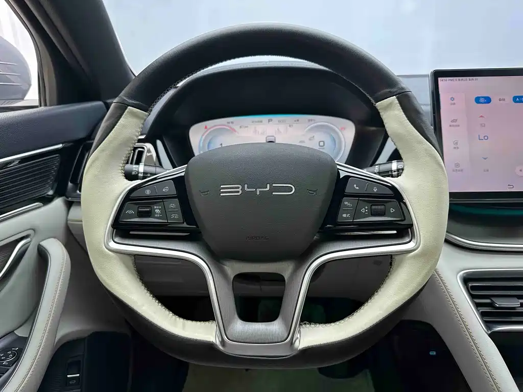BYD PLUS New Energy — фото 11