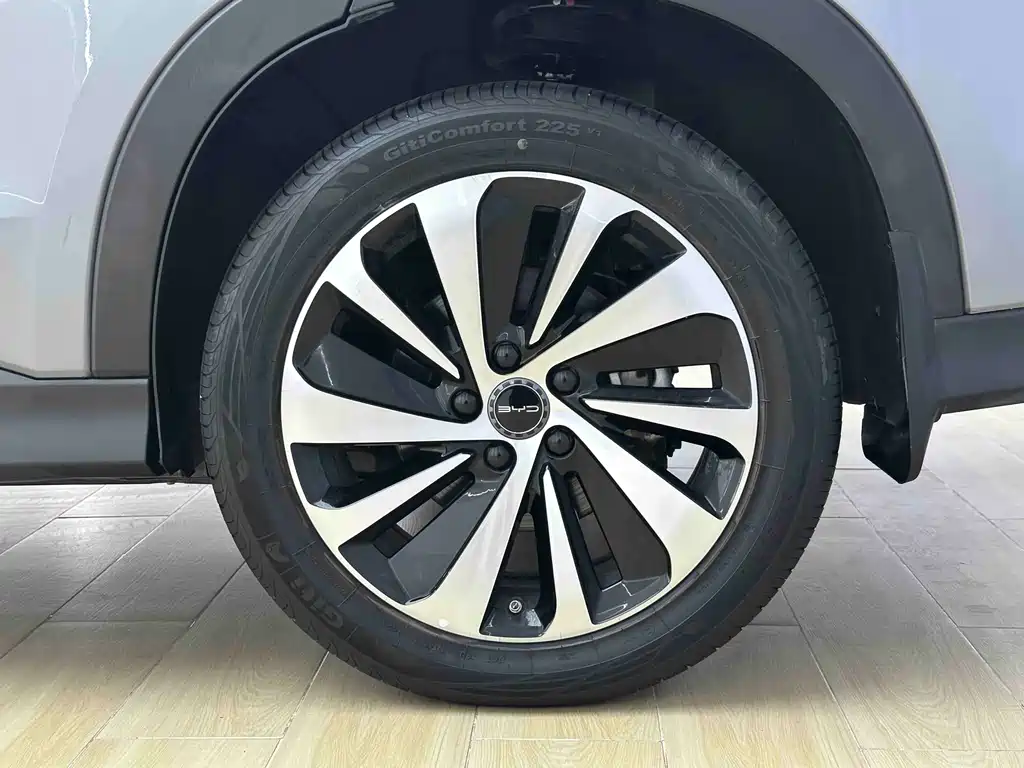 BYD PLUS New Energy — фото 17