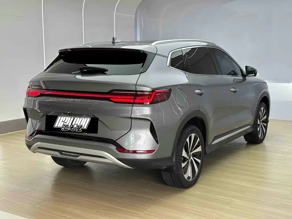 BYD PLUS New Energy — фото 4