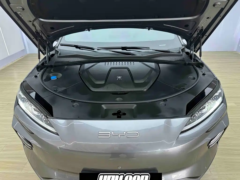 BYD PLUS New Energy — фото 7