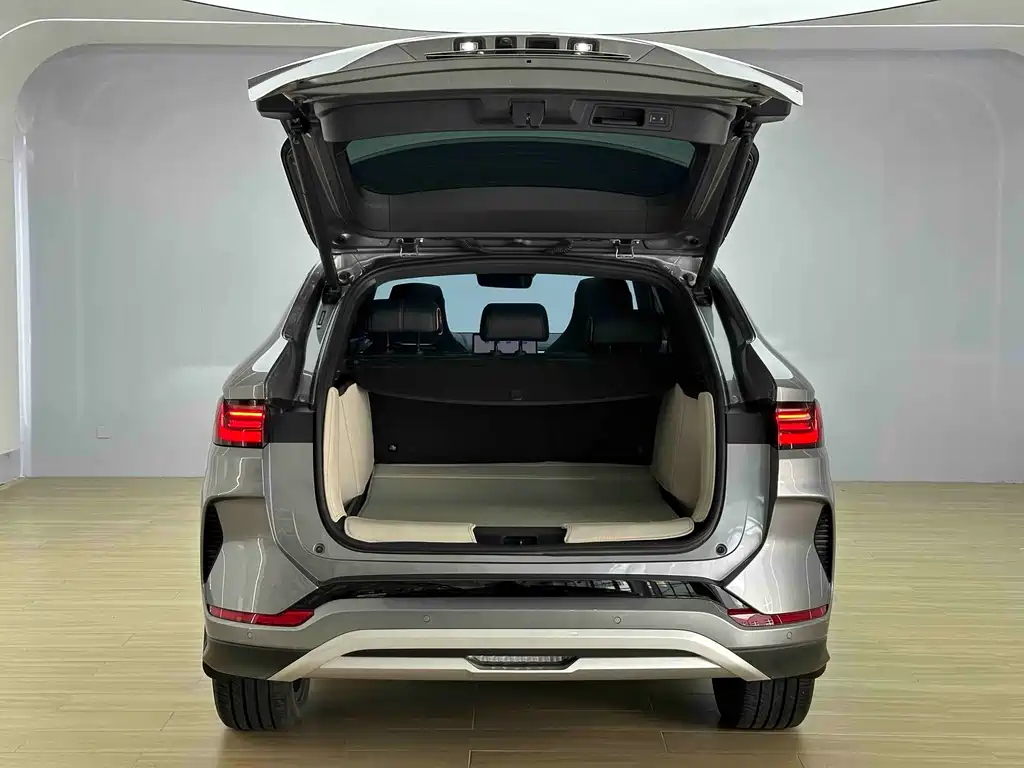 BYD PLUS New Energy — фото 8