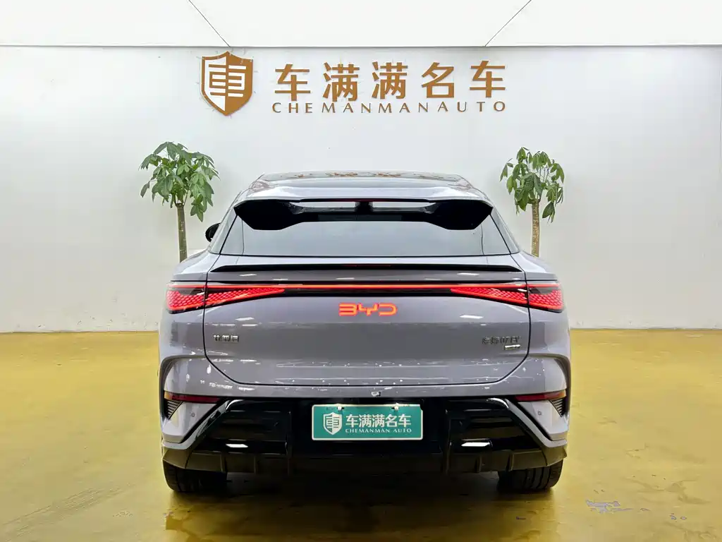 BYD Sealion 07 EV — фото 10