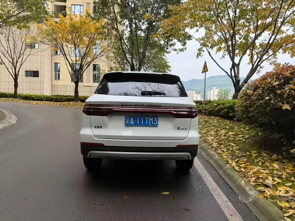 BYD Pro — фото 8
