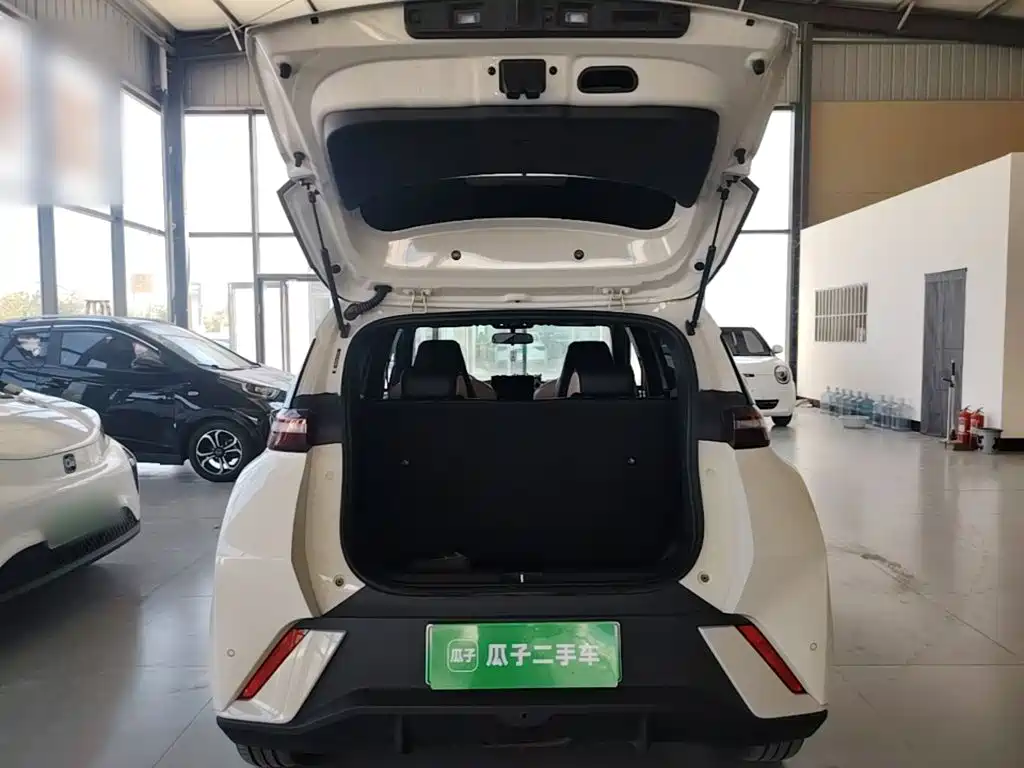 BYD Seagull — фото 19