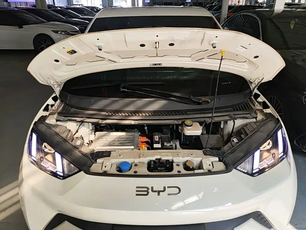 BYD Seagull — фото 20