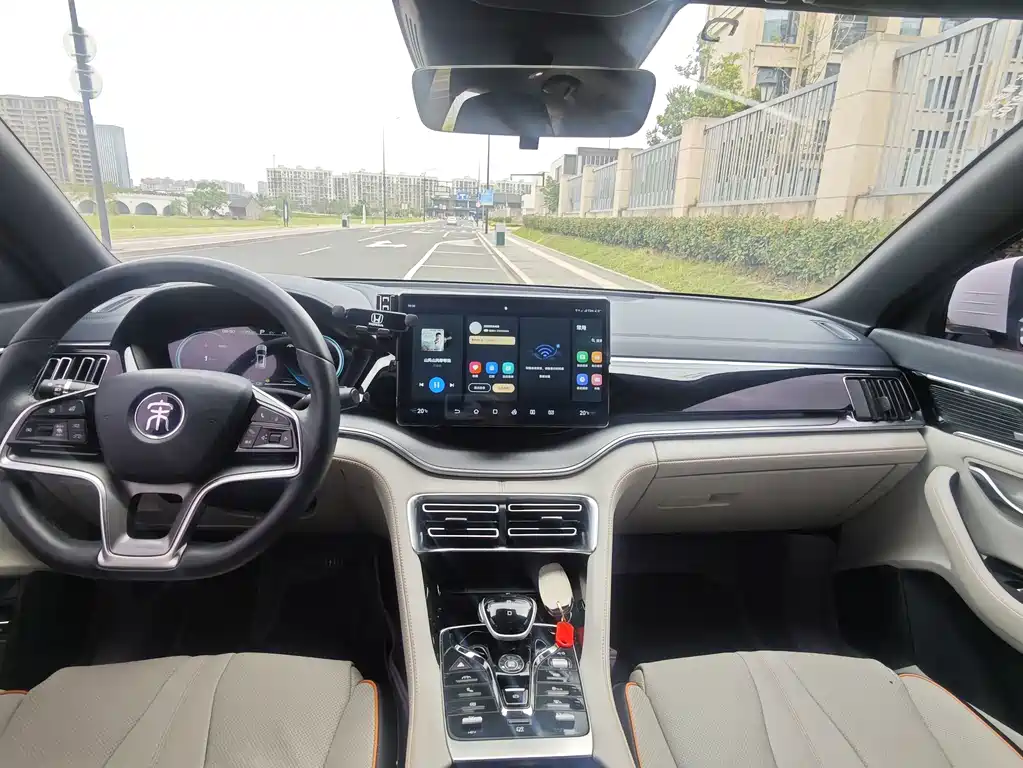 BYD PLUS New Energy — фото 8