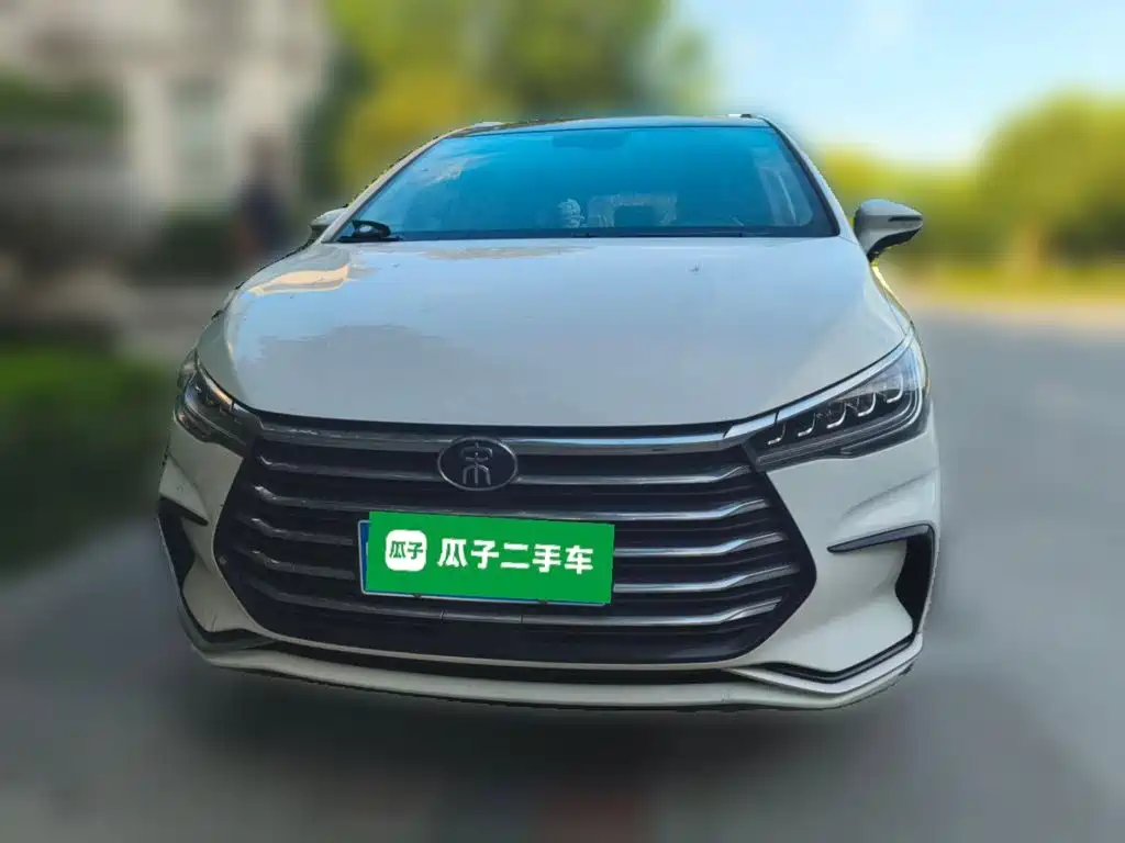 BYD MAX — фото 23
