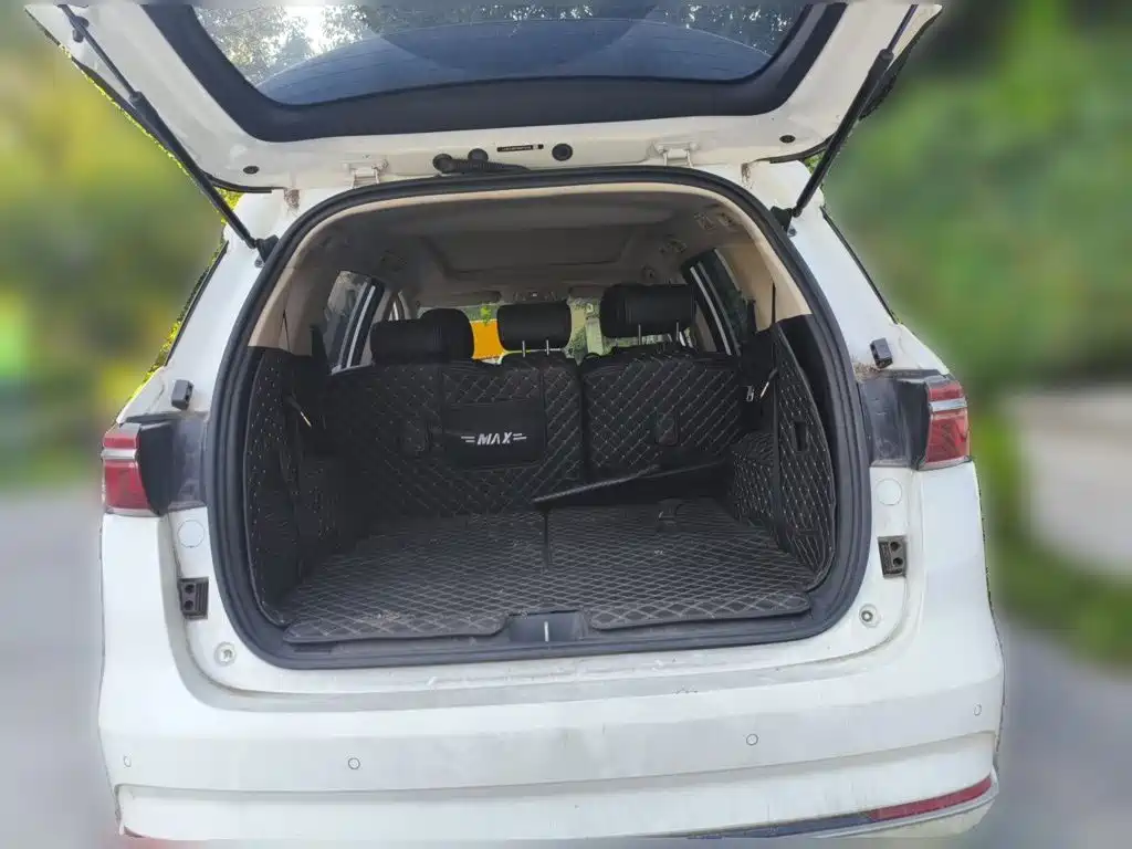 BYD MAX — фото 10