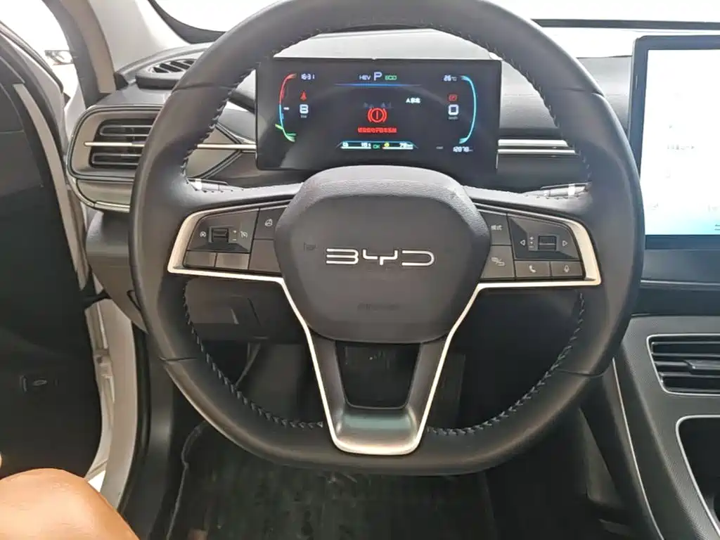 BYD Destroyer 05 — фото 11