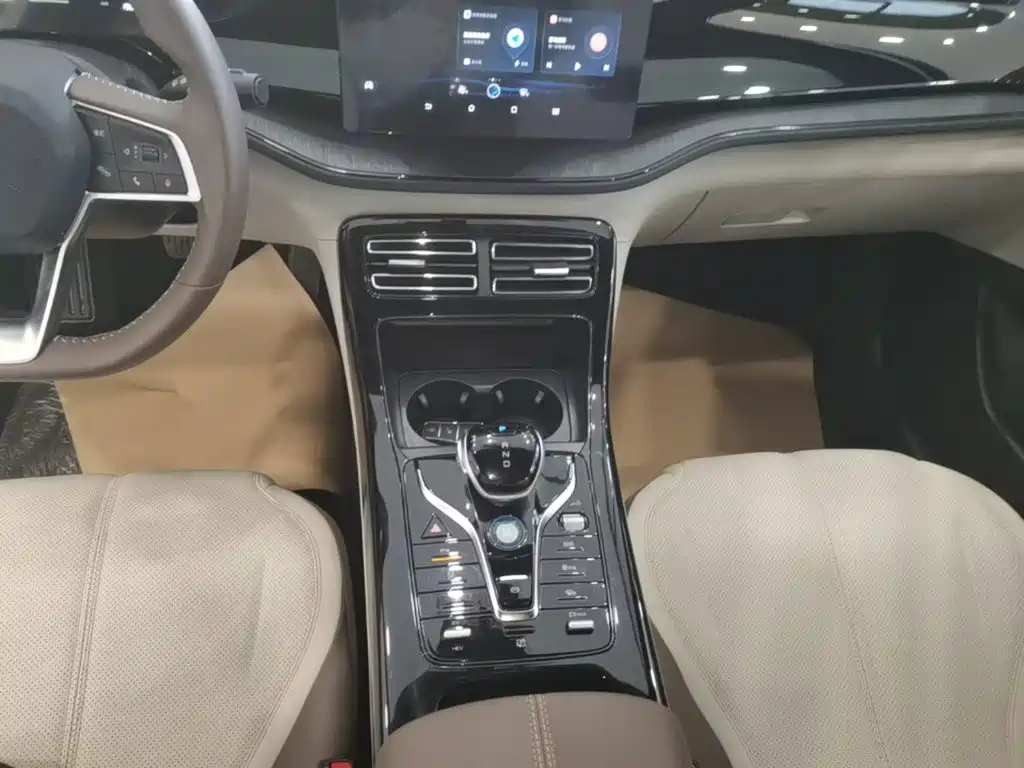 BYD Qin PLUS — фото 14