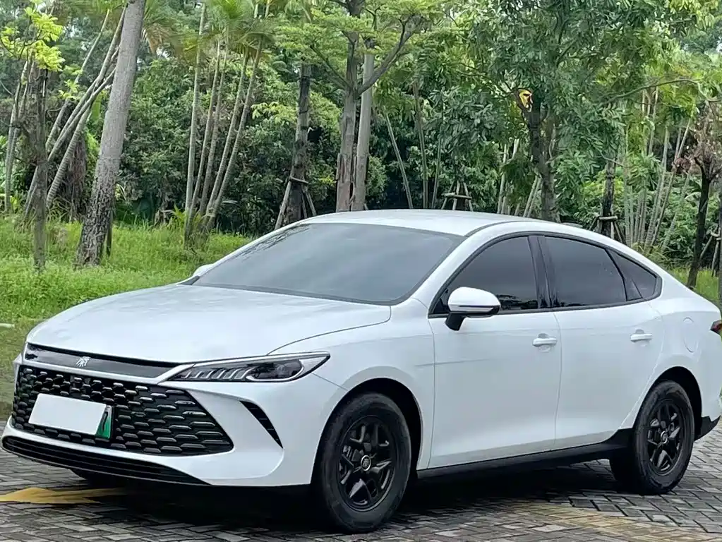 BYD Qin PLUS — фото 2