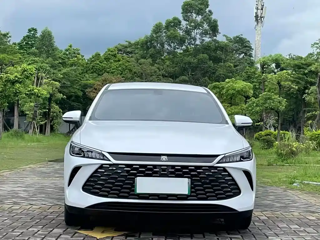 BYD Qin PLUS — фото 3