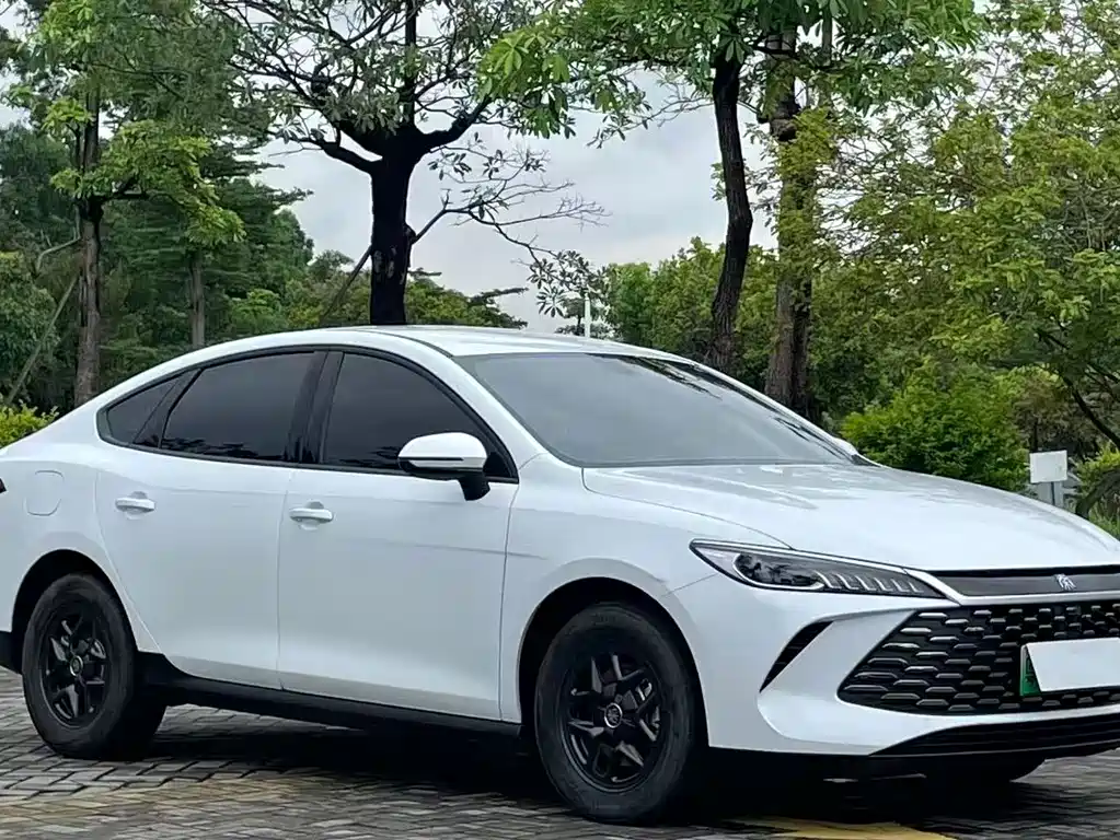 BYD Qin PLUS — фото 4