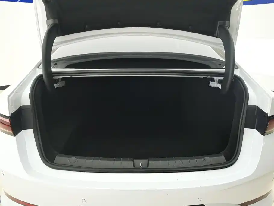 BYD Qin PLUS — фото 4