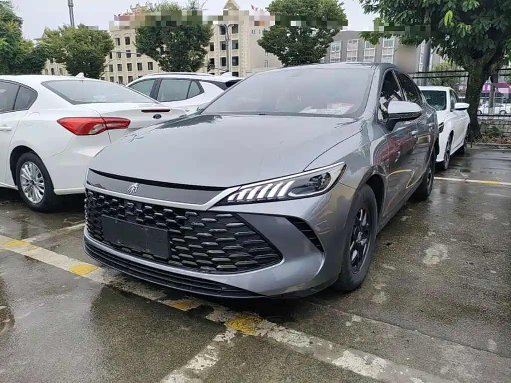 BYD Qin PLUS — фото 2
