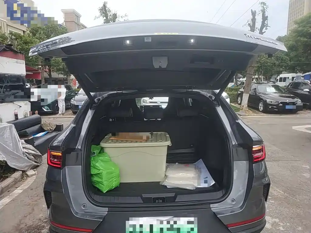 BYD PLUS New Energy — фото 19