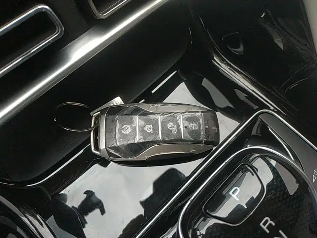 BYD PLUS New Energy — фото 9