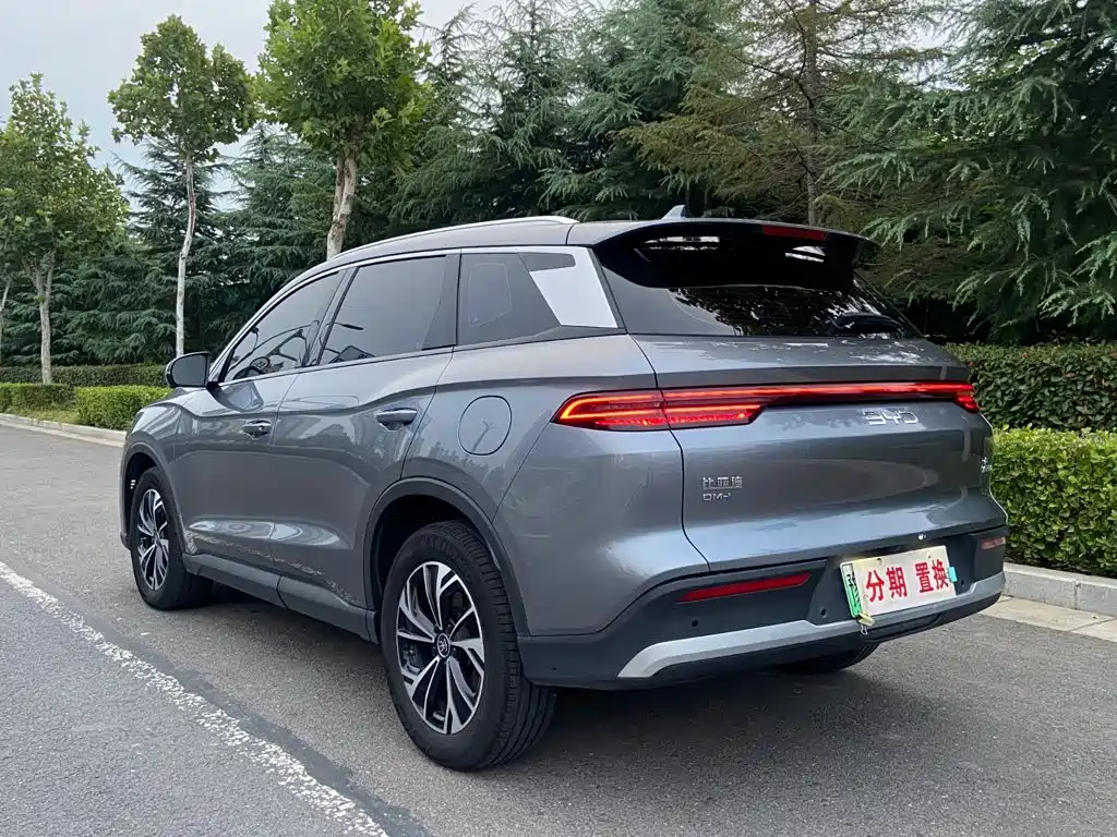 BYD Pro New Energy — фото 18