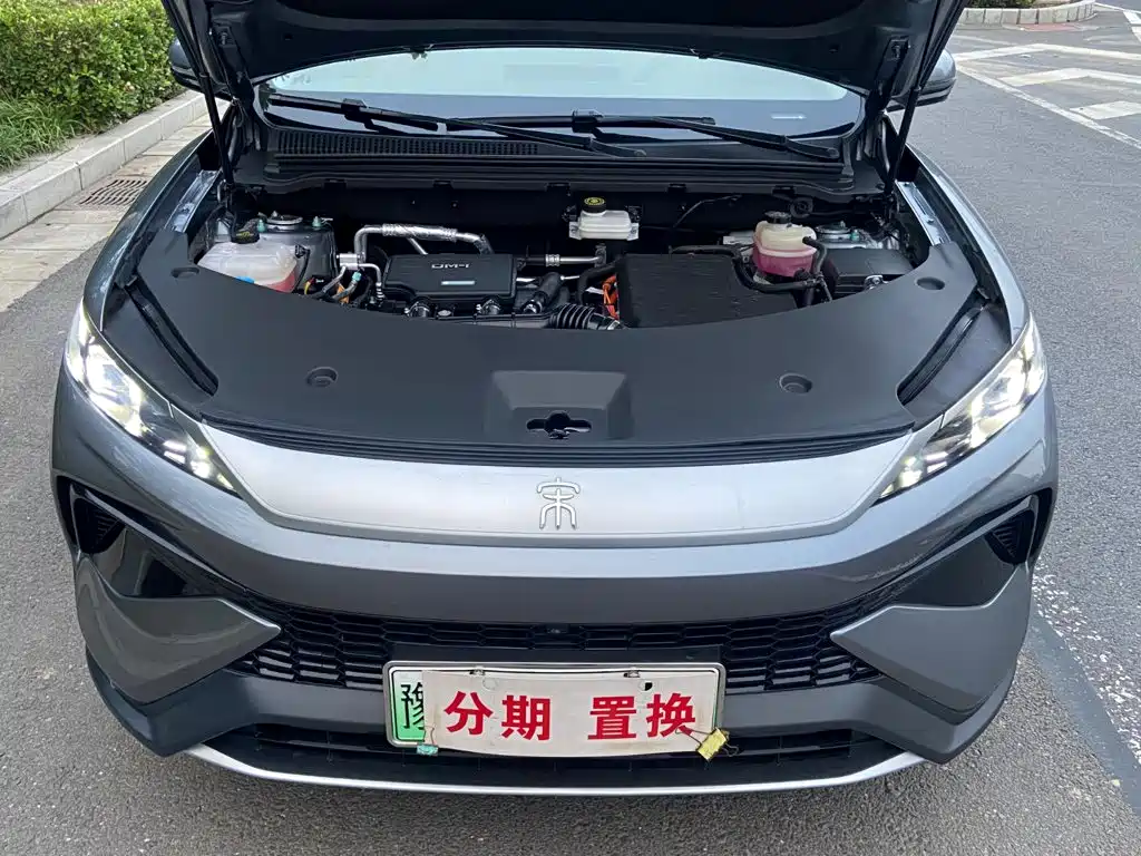 BYD Pro New Energy — фото 20