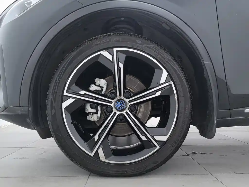 BYD Tang New Energy — фото 17