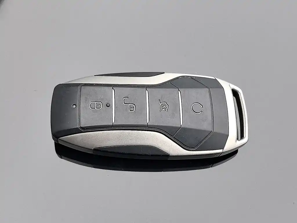 BYD Tang New Energy — фото 19