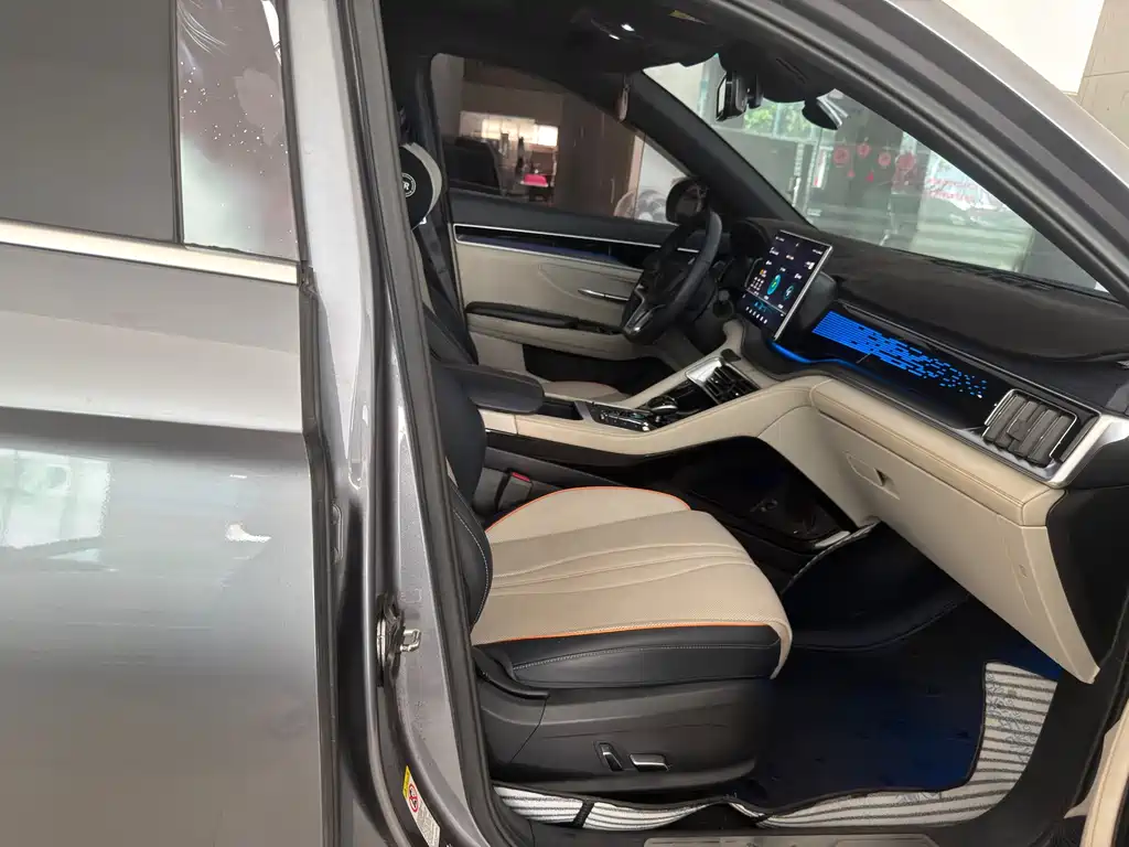 BYD PLUS New Energy — фото 8