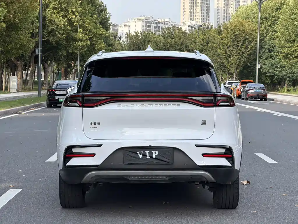 BYD Tang New Energy — фото 14