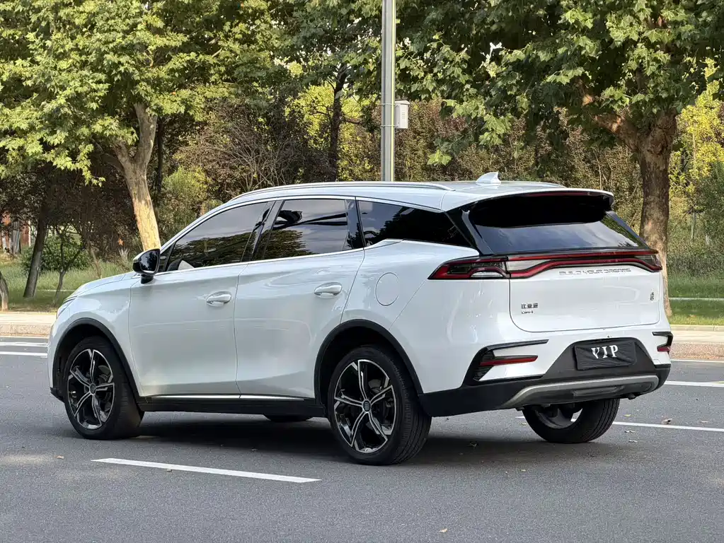 BYD Tang New Energy — фото 15