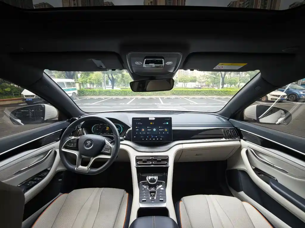 BYD PLUS New Energy — фото 9