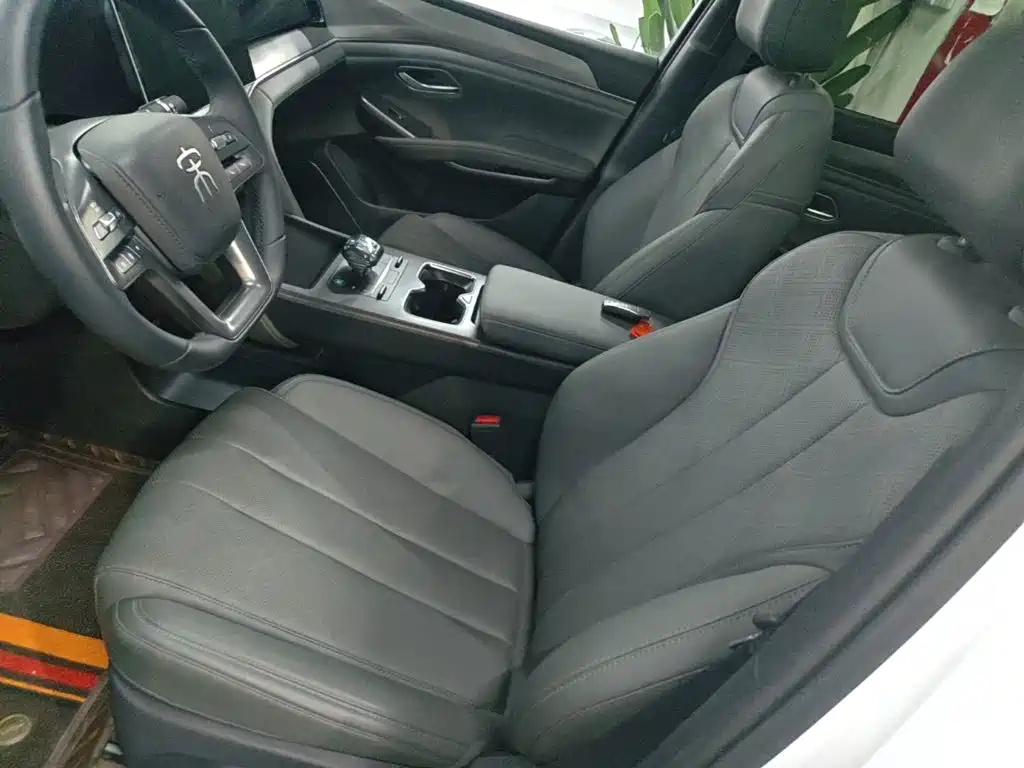 BYD L DM-i — фото 15