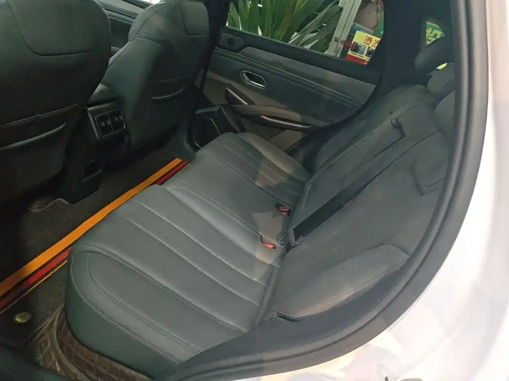 BYD L DM-i — фото 17