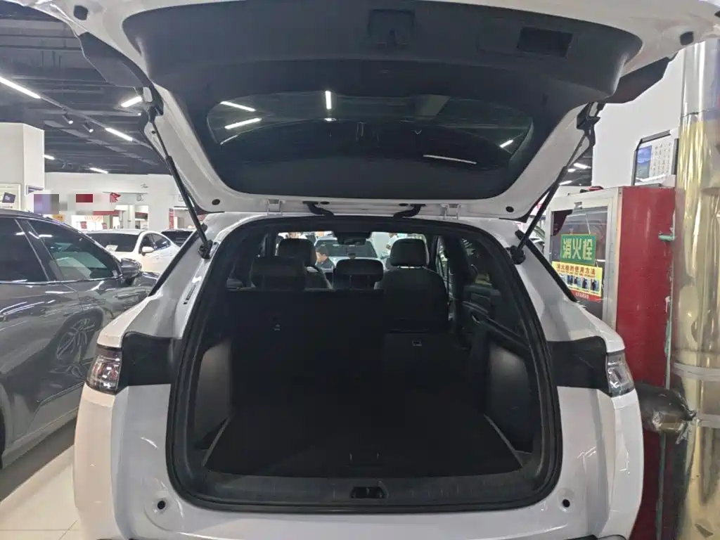BYD L DM-i — фото 19