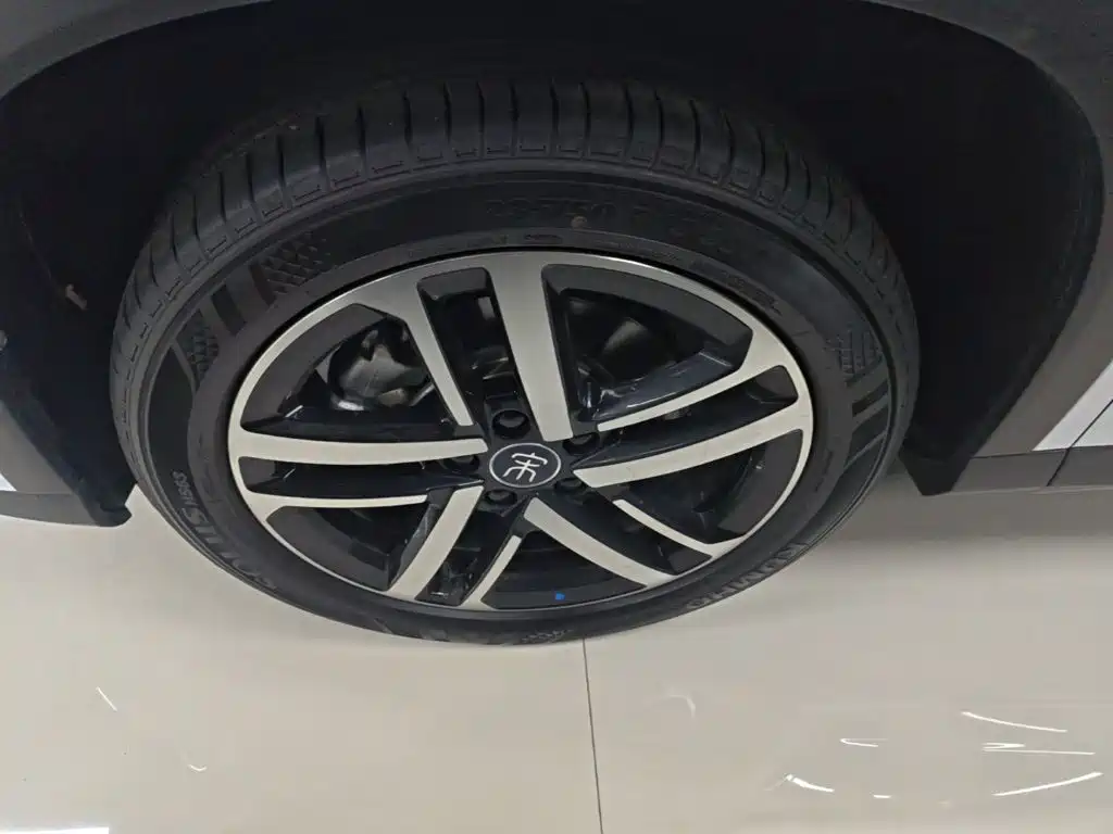 BYD L DM-i — фото 23