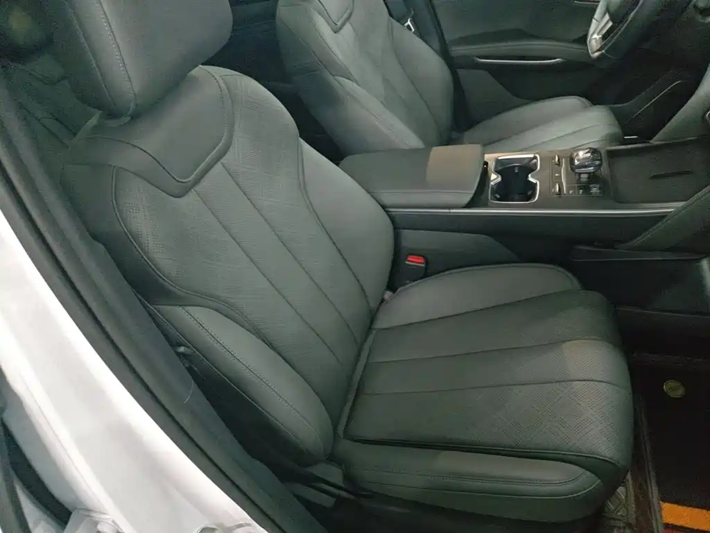 BYD L DM-i — фото 25