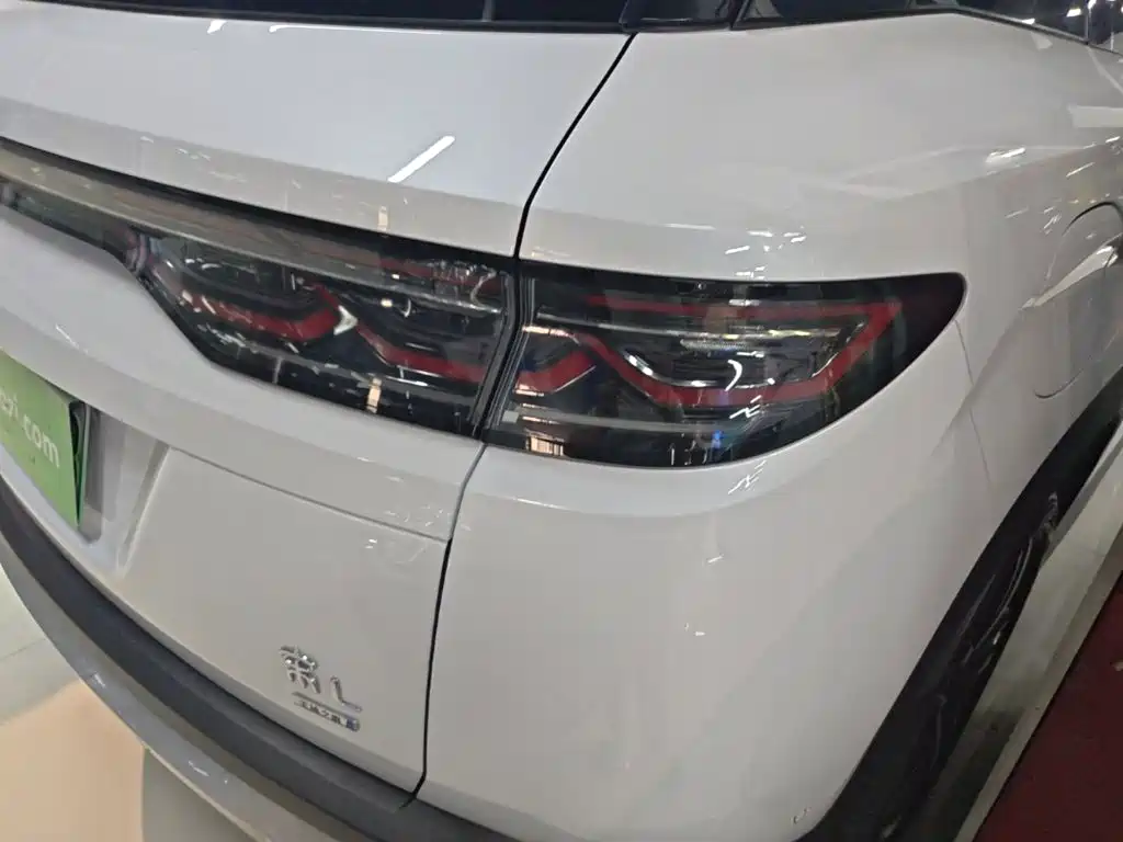 BYD L DM-i — фото 8