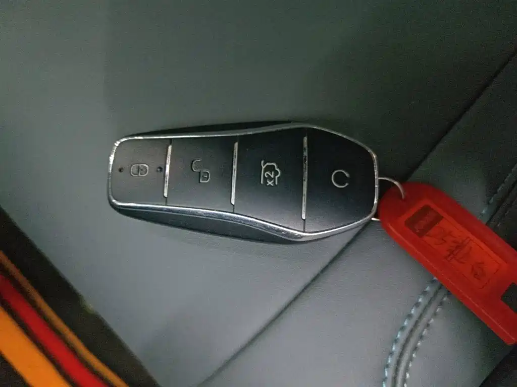 BYD L DM-i — фото 9