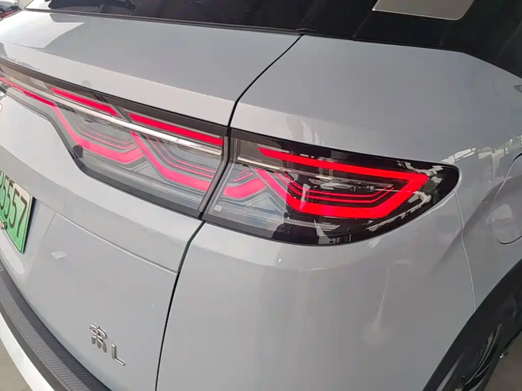 BYD L DM-i — фото 8
