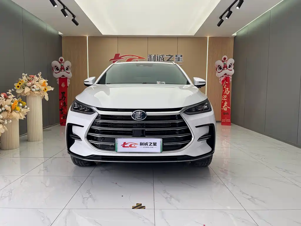 BYD Tang New Energy — фото 2