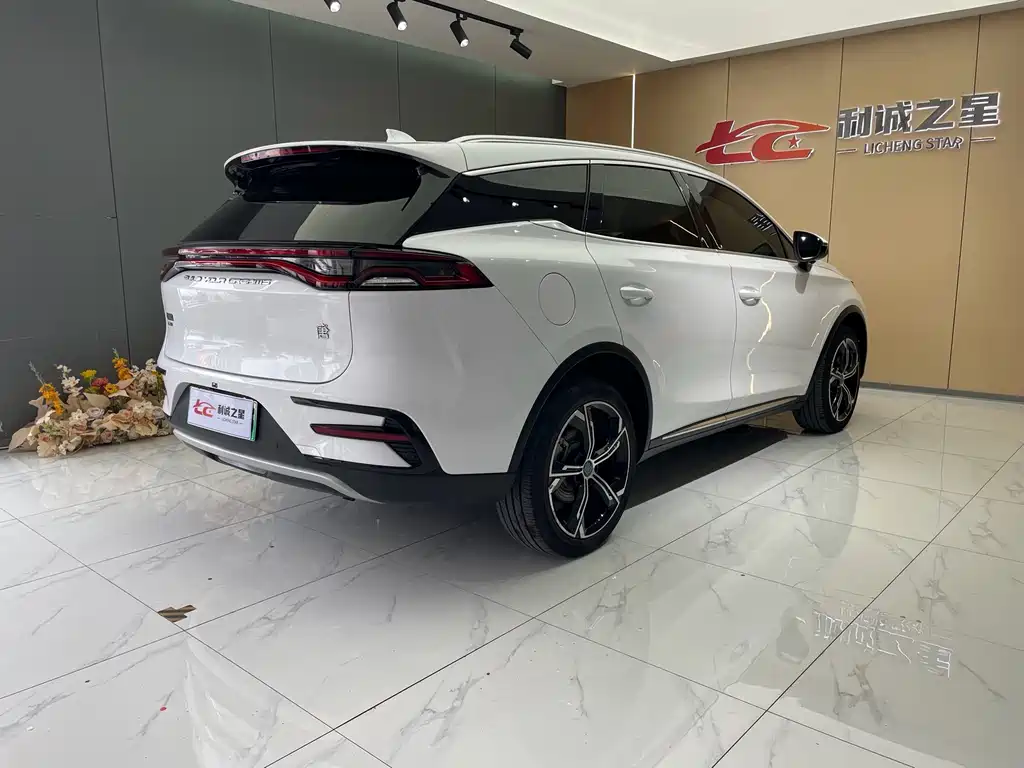 BYD Tang New Energy — фото 4