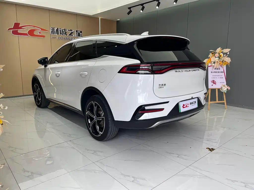 BYD Tang New Energy — фото 6
