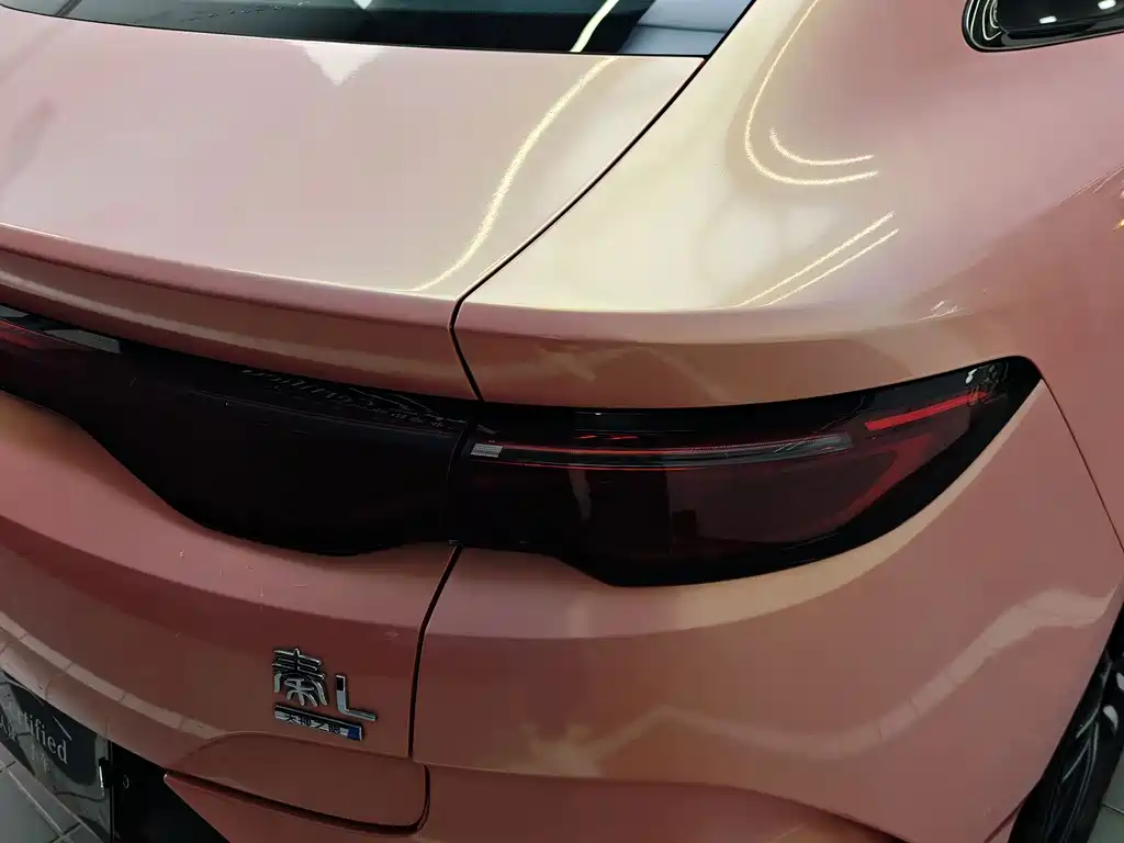 BYD Qin L — фото 20