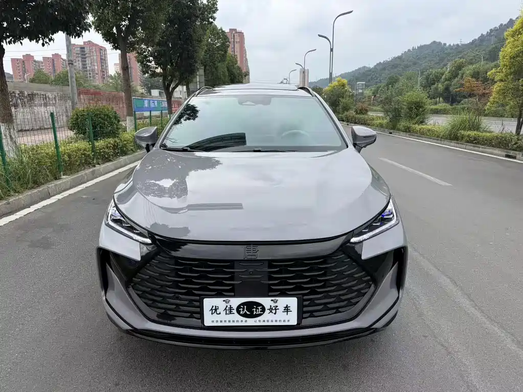 BYD Tang New Energy — фото 2