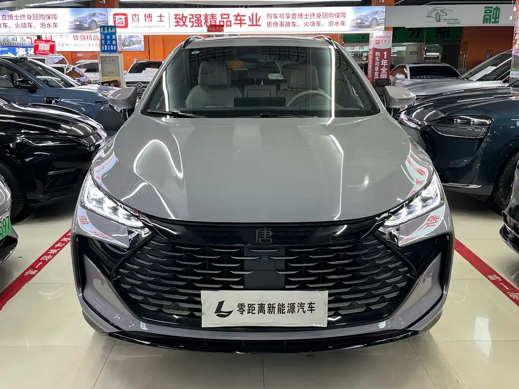 BYD Tang New Energy — фото 2